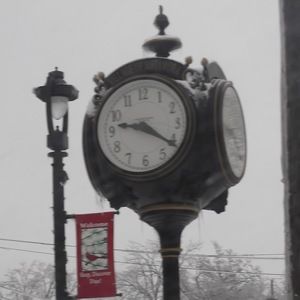 Meet your Posher, Rita